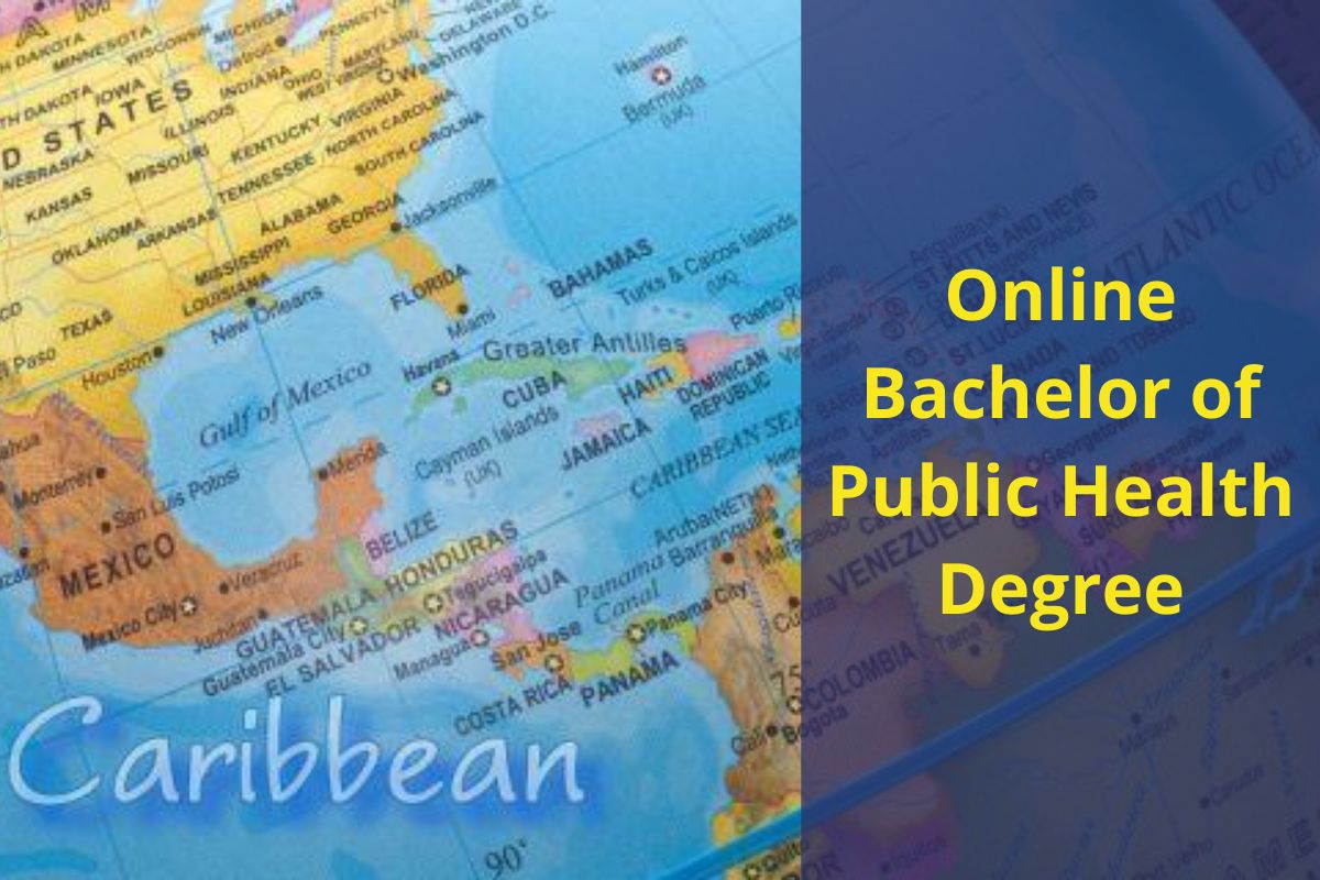 professionals with public health bachelor