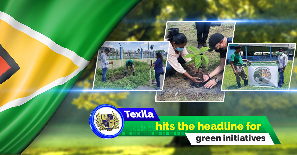 Texila Hits Headlines for Green Initiatives