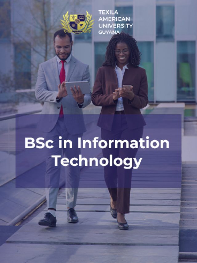 Bachelor in Information Technology
