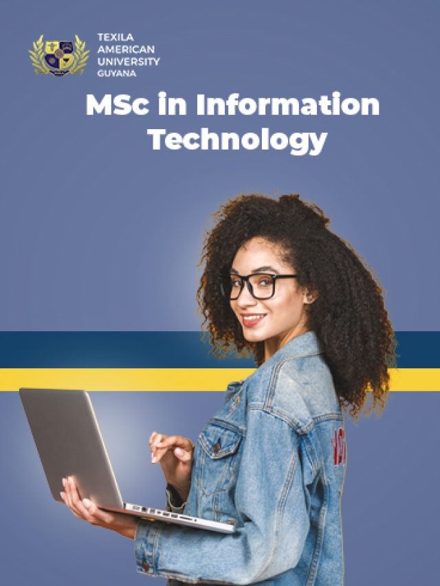 Msc in Information Technology