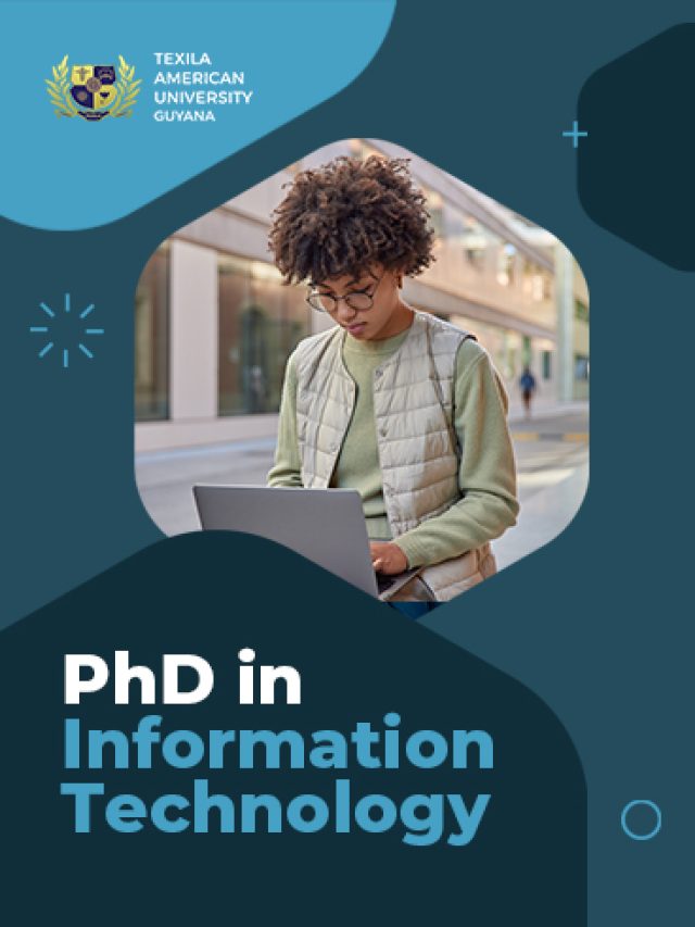 PhD in information techbology