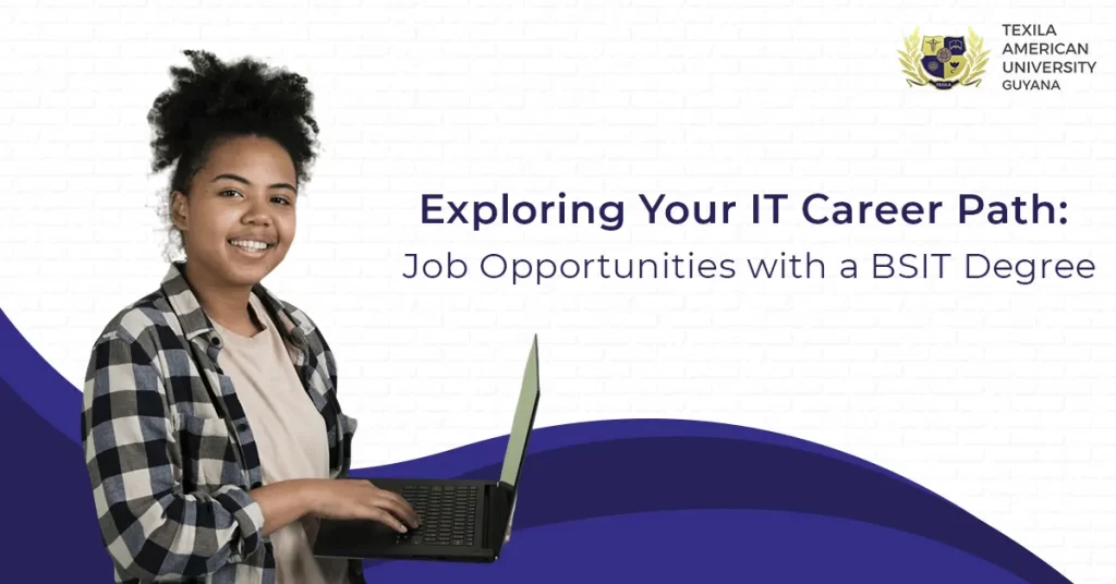 Job Opportunities with a BSIT Degree
