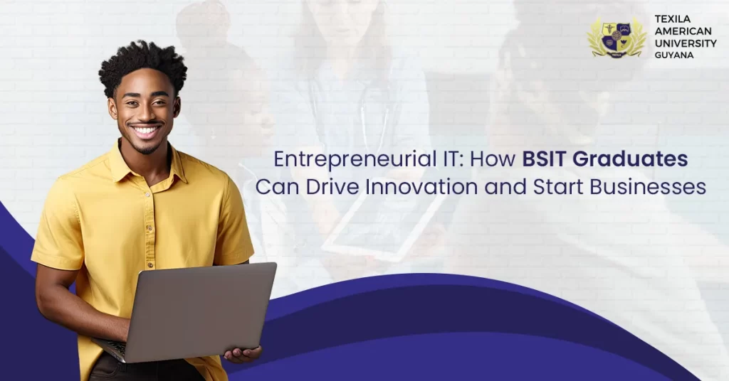 How BSIT Graduates Can Drive Innovation and Start Businesses