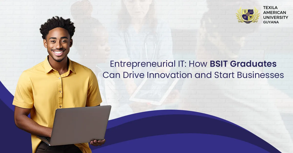 How BSIT Graduates Can Drive Innovation and Start Businesses