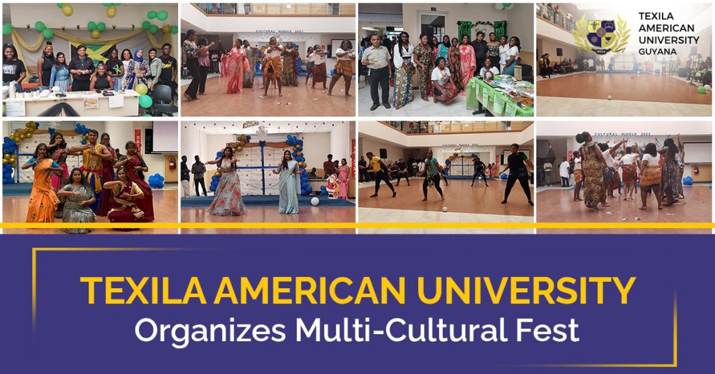 multi-cultural fest
