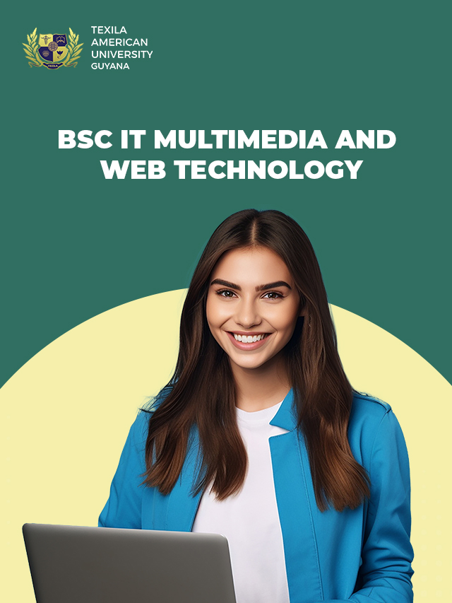 BSc IT in Multimedia and Web Technology