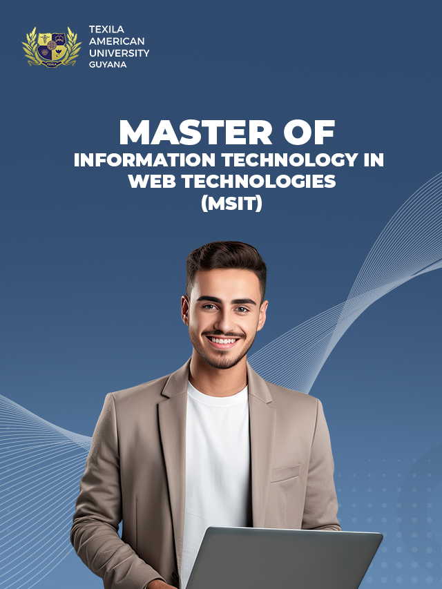Study Master of Information Technology in Web Technologies