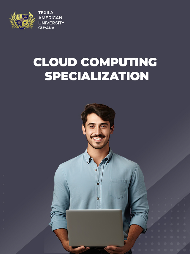 Master's in Cloud Computing