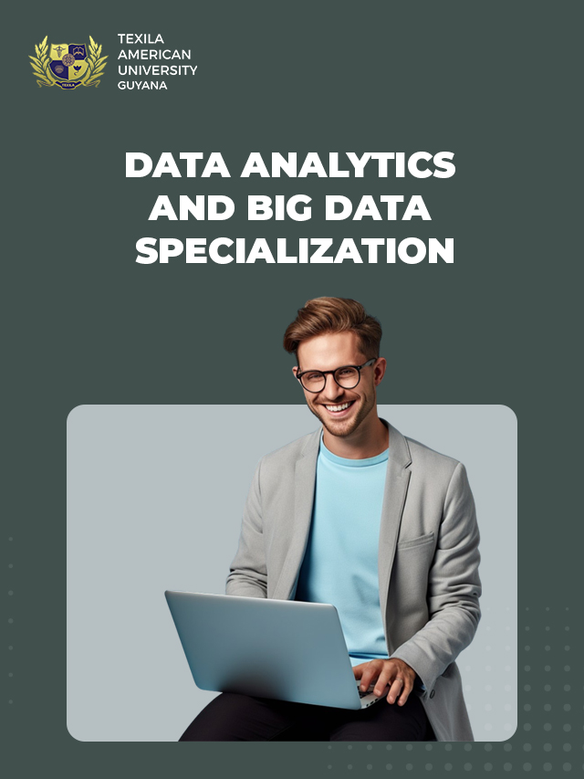 Master's in Data Analytics and big data.