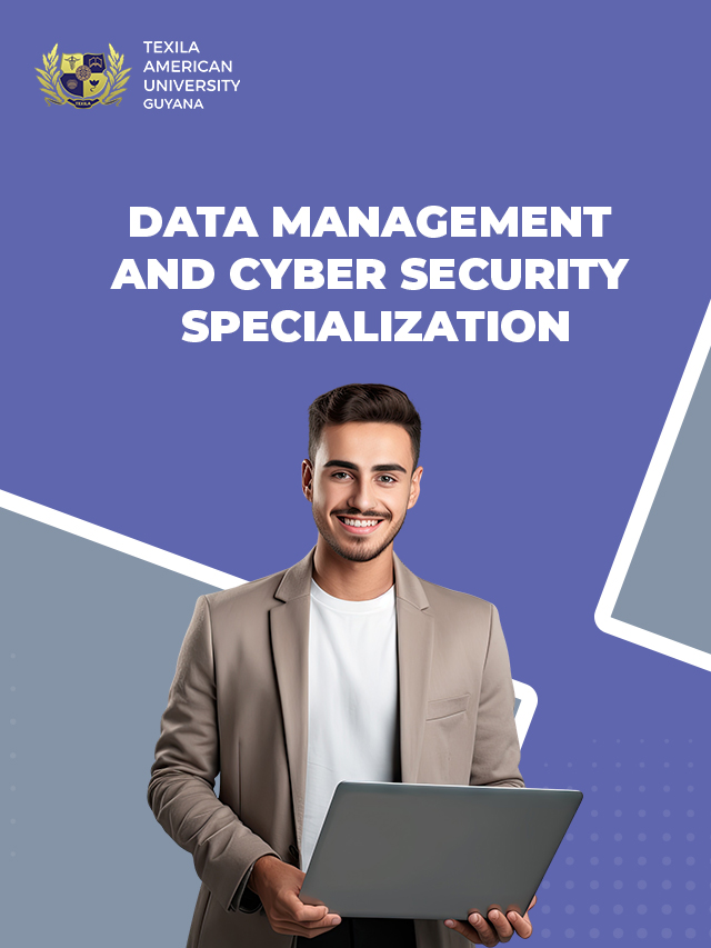 https://tau.edu.gy/study-data-management-cyber-security-msit/