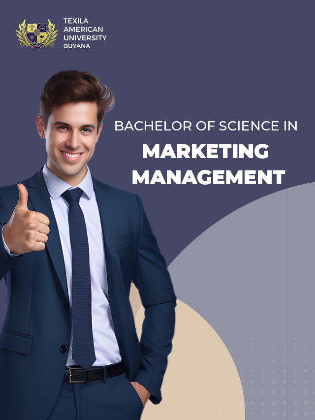 BSc in Marketing Management | TAU – GY