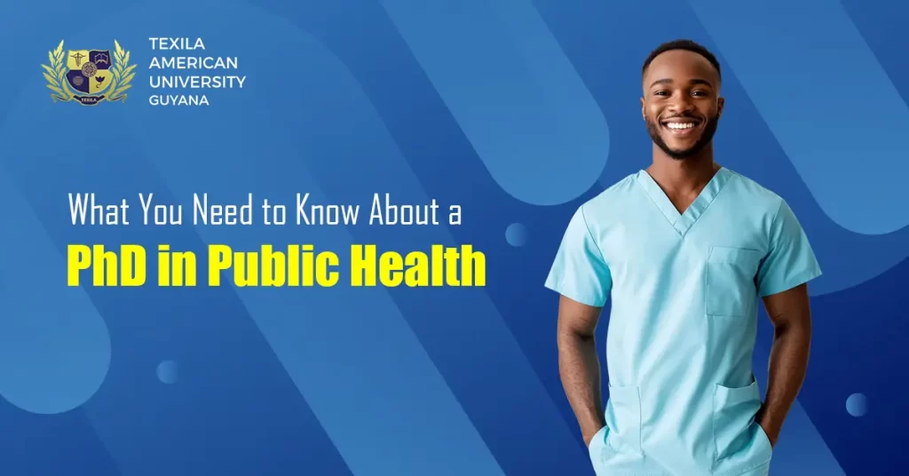 What You Need to Know About a PhD in Public Health