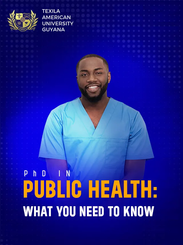 PhD in Public Health: What You Need to Know
<span class="bsf-rt-reading-time"><span class="bsf-rt-display-label" prefix=""></span> <span class="bsf-rt-display-time" reading_time="1"></span> <span class="bsf-rt-display-postfix" postfix="MIN READ"></span></span><!-- .bsf-rt-reading-time -->