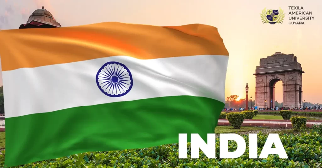 Texila American University India