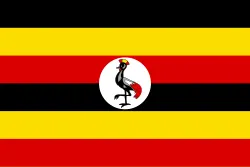 Texila Uganda