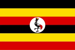 Texila Uganda